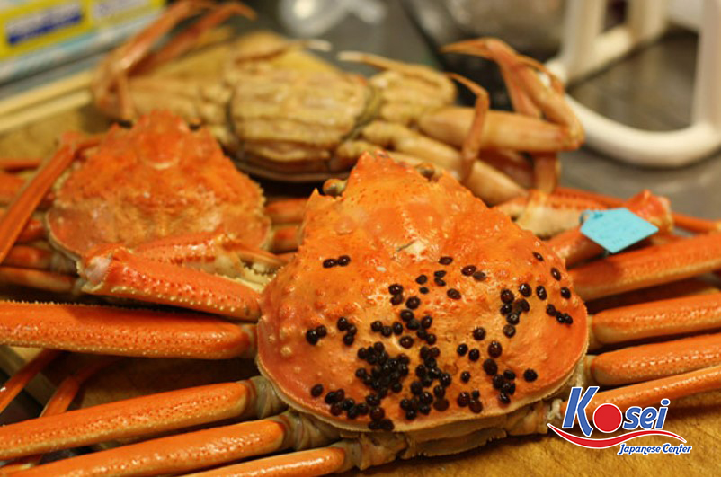 hải sản nhật bản, hải sản ở nhật bản, chợ hải sản nhật bản