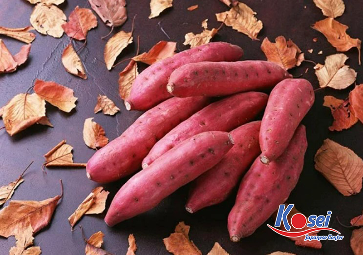 Khoai lang Nhật Bản - Thực phẩm giàu chất dinh dưỡng tốt cho sức khoẻ