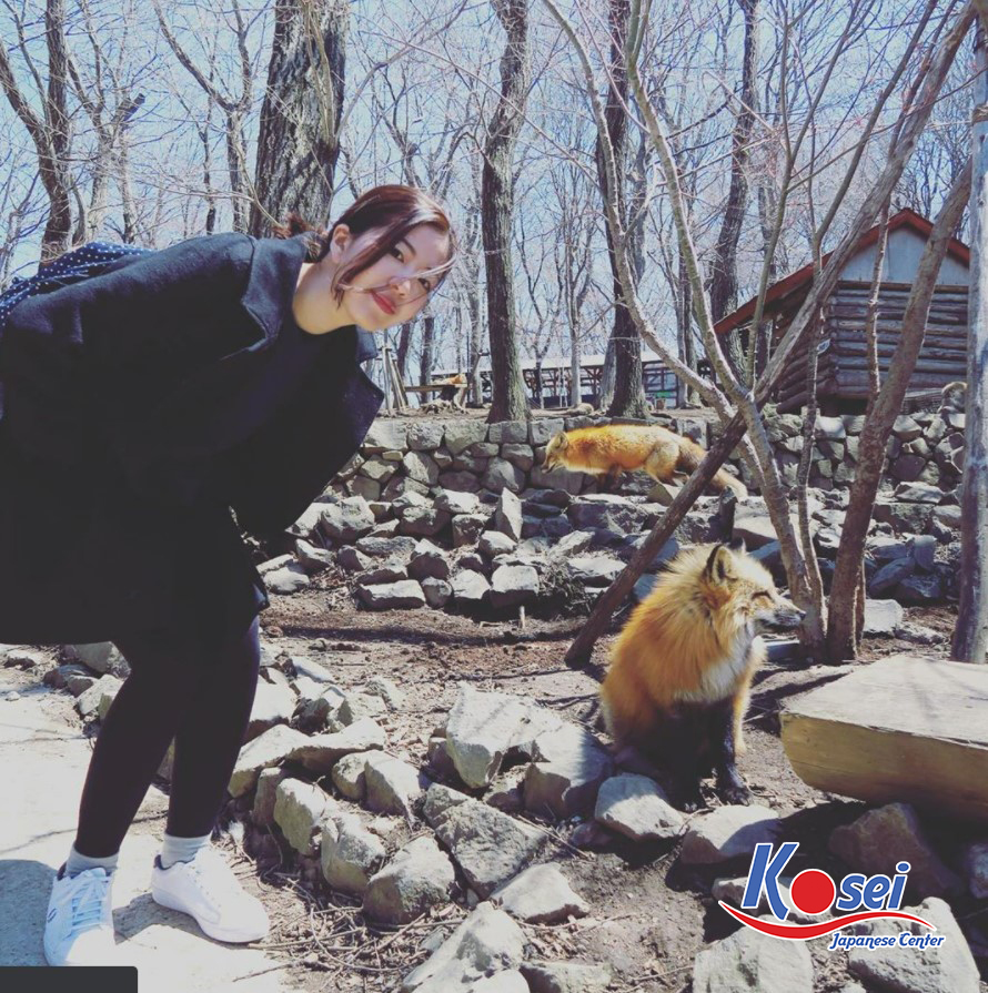 làng zao kitsune, làng cáo zao kitsune, zao kitsune, zao kitsune làng cáo