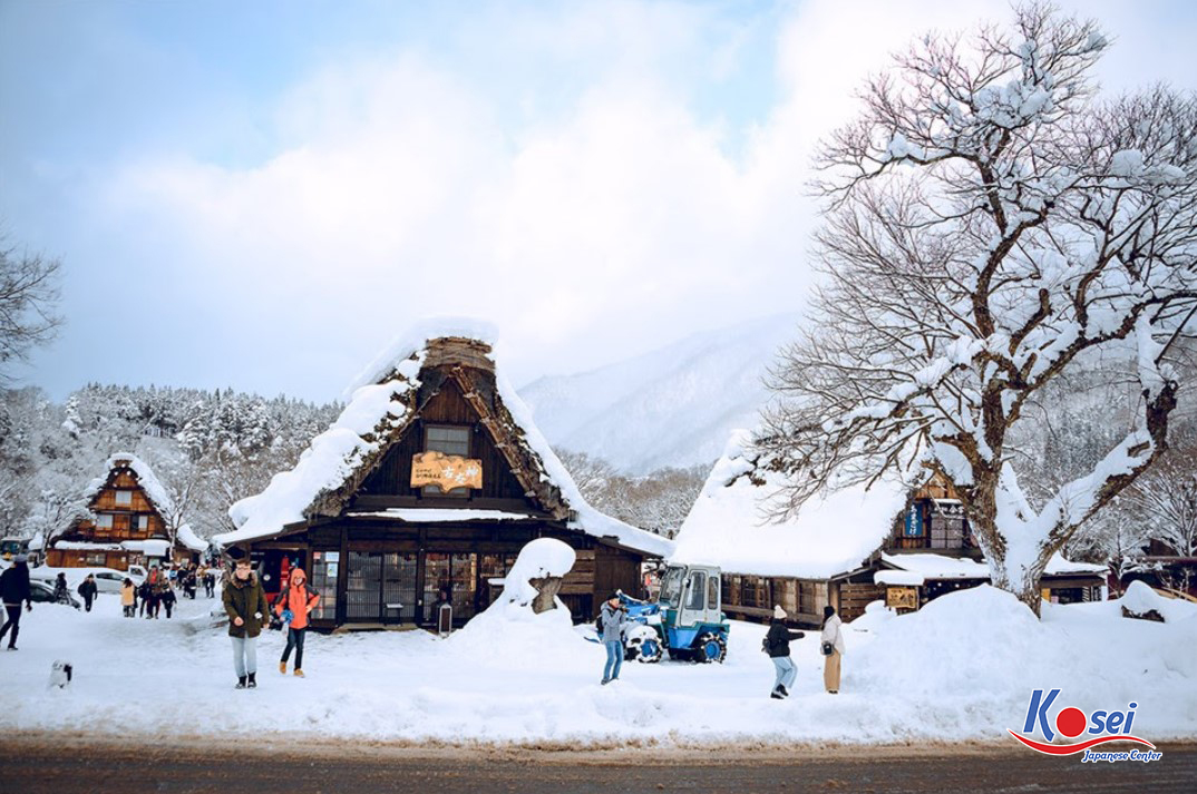 làng shirakawago, làng cổ shirakawago mùa đông, làng cổ shirakawago ở đâu, kinh nghiệm đi làng cổ shirakawago, cách đi đến làng cổ shirakawago từ tokyo