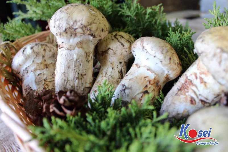 nấm matsutake của nhật bản, nấm matsutake, nấm matsutake nướng