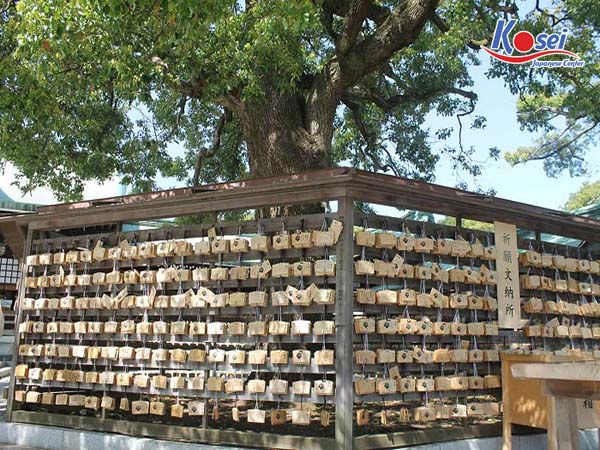 đền thờ Meiji Jingu Nhật Bản
