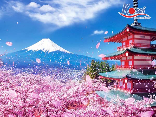 người nhật không ưa chút nào