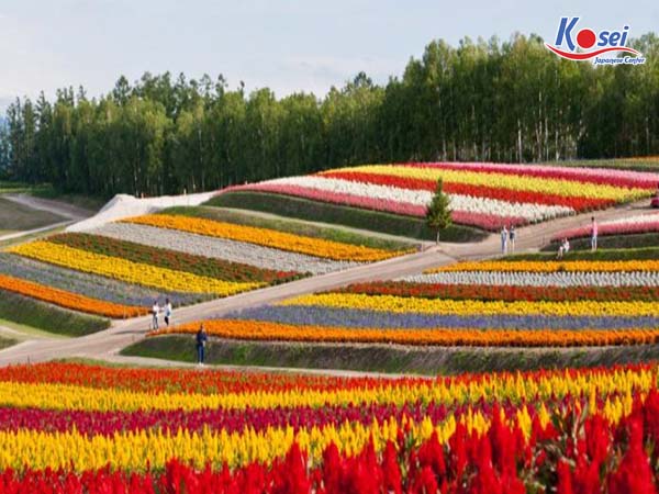 Hokkaido Nhật Bản