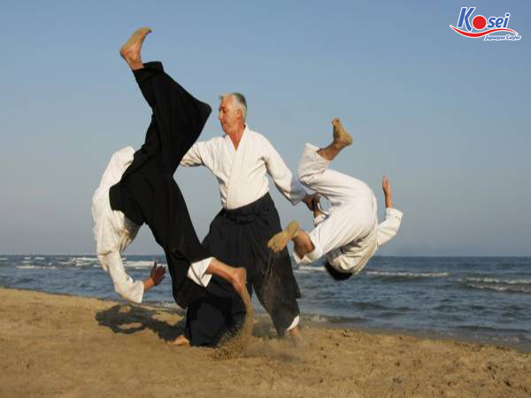 môn võ aikido của nhật bản