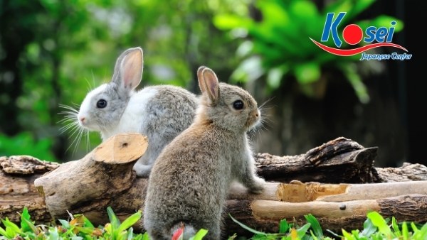 quan niệm người nhật về 12 con giáp