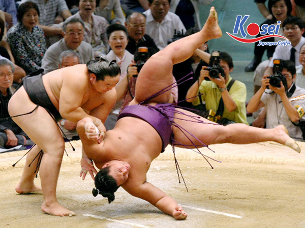 thị trấn sumo Sumida