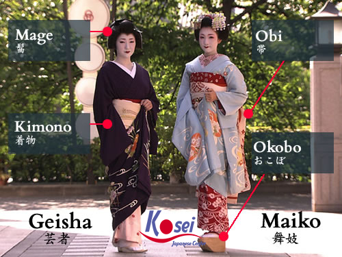 bí ẩn về geisha nhật bản, geisha là gì