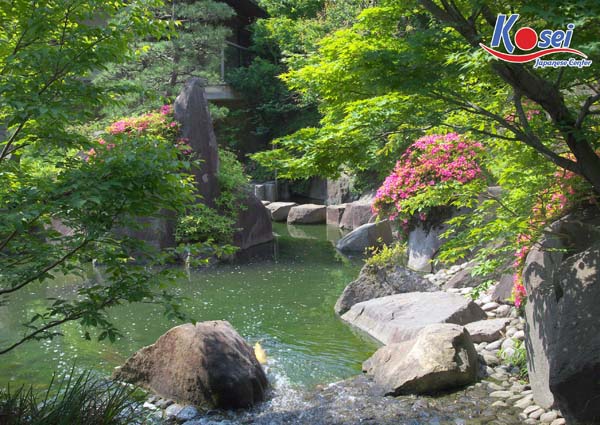 khu vườn đẹp ngỡ ngàng tại Tokyo