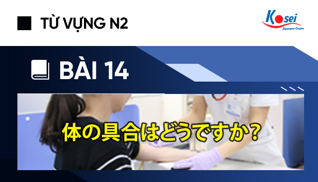 Từ Vựng N2 Bai 14 体の具合はどうですか Tinh Trạng Sức Khỏe