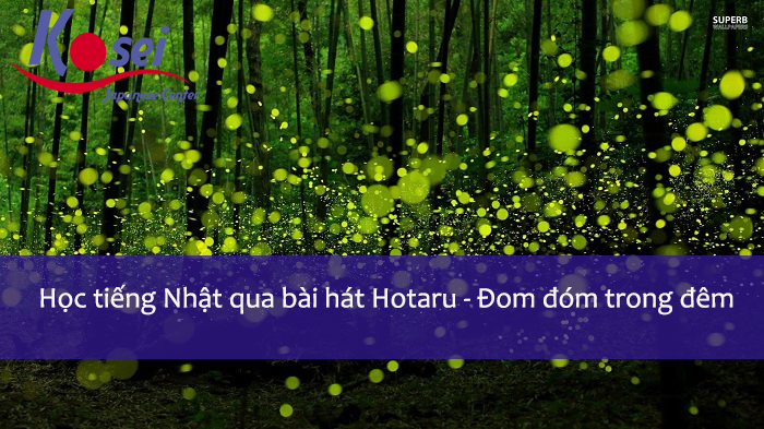 Học tiếng Nhật qua bài hát: Hotaru – Đom đóm trong đêm