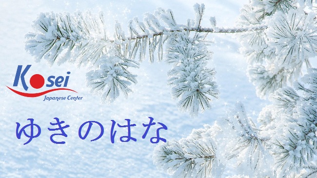 Học tiếng Nhật qua bài hát: Yuki no Hana (雪の華) - Hoa tuyết