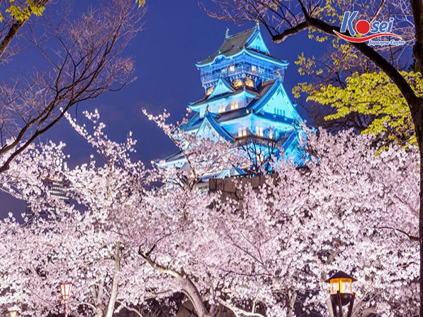 Osaka – thành phố hoa lệ, rực rỡ ngày hoa anh đào bung sắc tỏa hương