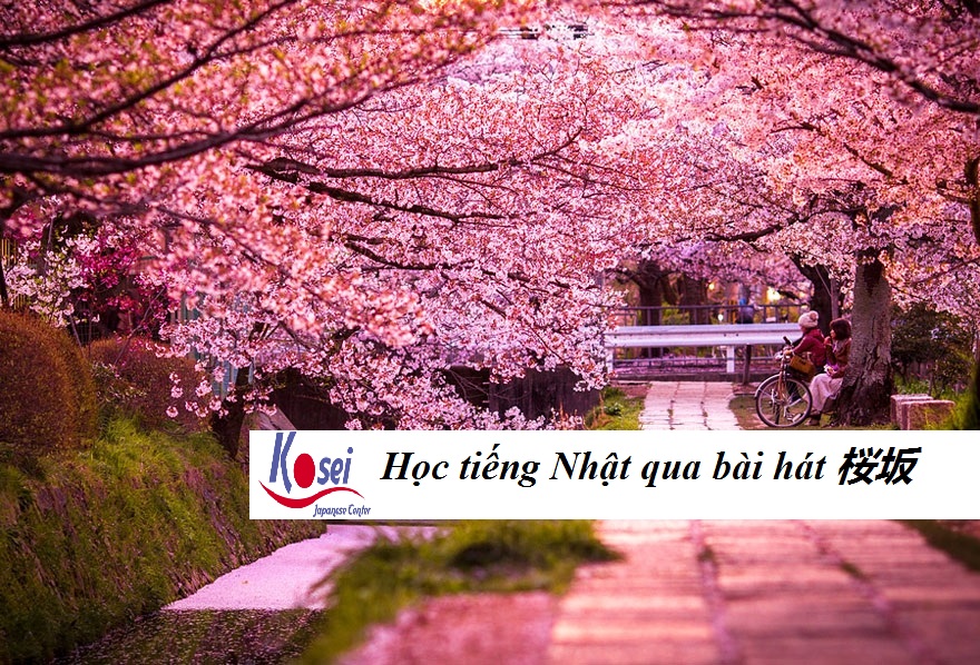 Học tiếng Nhật qua bài hát: Dốc Anh Đào - 桜坂